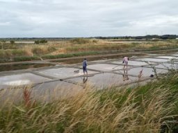 2026-06-05 chateau-d-olonne (04)